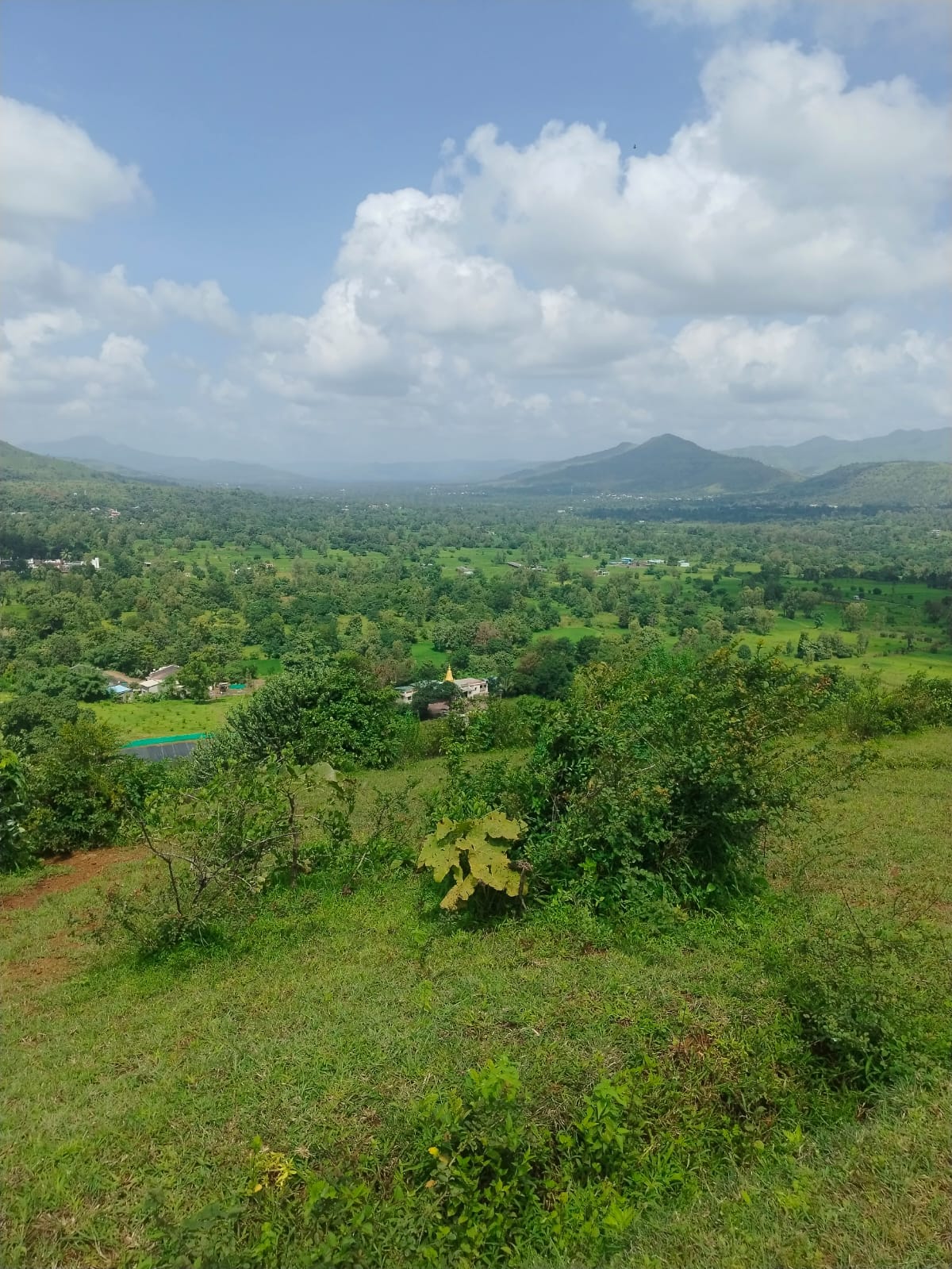 Green Valley - Image 4