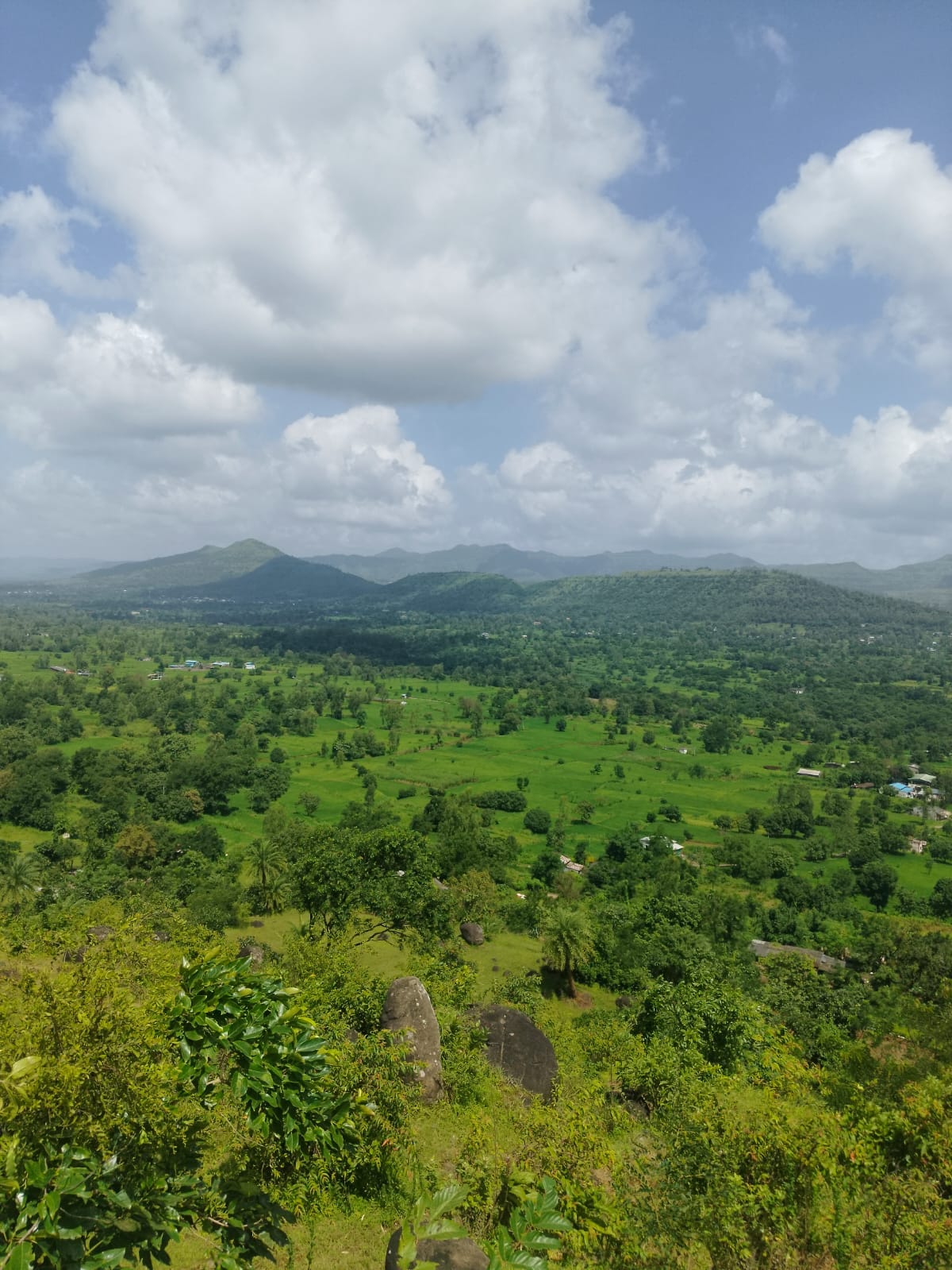 Green Valley - Image 2